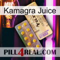 Kamagra Juice new06